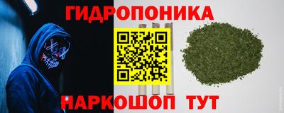 ECSTASY Кимры