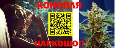 индика Кинель