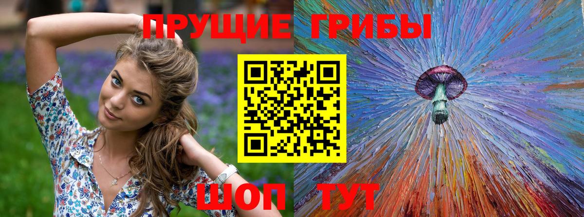 Псилоцибиновые грибы Cubensis  Вход с VPN  Гусь-Хрустальный  Галлюциногенные грибы Psilocybine cubensis 