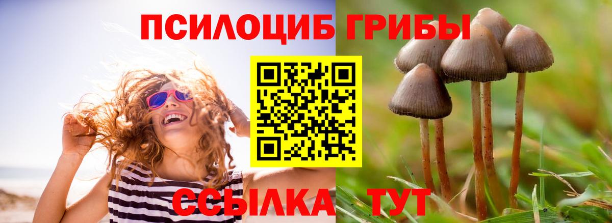 Псилоцибиновые грибы GOLDEN TEACHER Гусь-Хрустальный