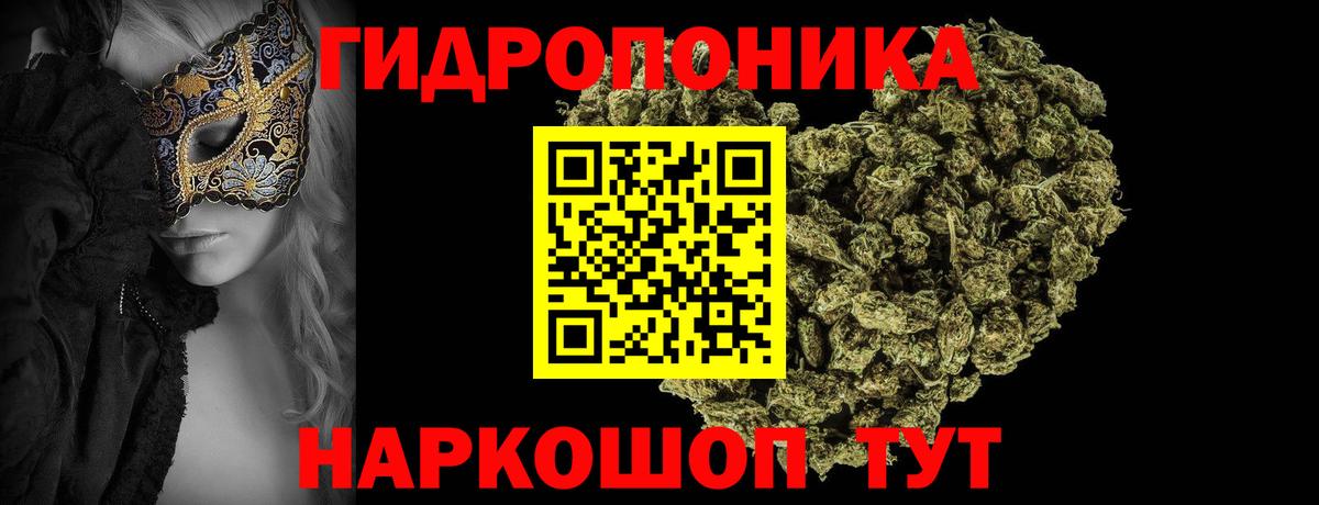 Каннабис OG Kush  Шишки марихуана гибрид  Вход с VPN  Гусь-Хрустальный  Каннабис Bruce Banner 